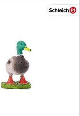 Schleich Eend - 13824