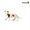 schleich FARM WORLD - Amerikaanse korthartige kat - 13894