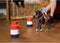 schleich FARM WORLD - Barrel racing met cowgirl - Kinderspeelgoed voor Jongens en Meisjes - 3 tot 8 jaar 42576
