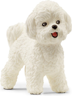 schleich FARM WORLD - Bichon frisé - 13963