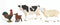 Schleich FARM WORLD Boerderij Starter Set 42729