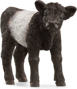 schleich FARM WORLD - Galloway kalf - 13969