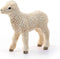 schleich FARM WORLD - Lam - Speelfiguur - Kinderspeelgoed voor Jongens en Meisjes - 3 tot 8 jaar - 13883