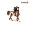 schleich FARM WORLD Pinto Hengst - Kinderspeelgoed voor Jongens en Meisjes - 3 tot 8 jaar - 13794