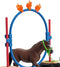 Schleich FARM WORLD - Pony agility wedstrijd - Speelfigurenset - Kinderspeelgoed voor Jongens en Meisjes - 3 tot 8 jaar