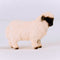 schleich FARM WORLD - Walliser Schwarznase-schaap - 13965