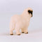 schleich FARM WORLD - Walliser Schwarznase-schaap - 13965