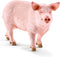 schleich FARM WORLD - Zwijn - Speelfiguur - Kinderspeelgoed voor Jongens en Meisjes - 3 tot 8 jaar - 13782