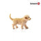 Schleich Golden Retriever welp 16396 - Hond Speelfiguur - Farm World - 4,6 x 2,1 x 3,4 cm