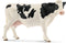 Schleich Holstein cow