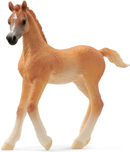 schleich HORSE CLUB - Arabisch veulen - 13984
