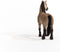 schleich HORSE CLUB - Criollo Definitivo merrie - Speelfiguur - Kinderspeelgoed voor Jongens en Meisjes - 5 tot 12 jaar - 13948