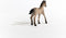 schleich Horse Club - Criollo Definitivo veulen - 13949
