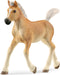 schleich HORSE CLUB - Haflingerveulen - 13951