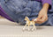 schleich HORSE CLUB - Haflingerveulen - 13951