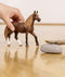 schleich HORSE CLUB - Peruviaanse pasomerrie - 13953