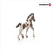 schleich HORSE CLUB - Tinkerveulen - Speelfiguur - 13774