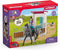 Schleich Horsebox with Lisa en Storm.