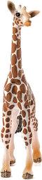 schleich WILD LIFE - Babygiraf - Speelfiguur - Kinderspeelgoed voor Jongens en Meisjes - 3 tot 8 jaar