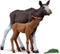 schleich WILD LIFE Eland met Kalf Speelgoed Dieren - Gedetailleerde Figuurtjes - Kinderspeelgoed - voor Jongens & Meisjes