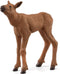 schleich WILD LIFE - Elandkalf - 42629