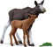 schleich WILD LIFE - Elandkalf - 42629
