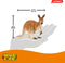schleich WILD LIFE - Kangoeroe - Speelfiguur - Kinderspeelgoed voor Jongens en Meisjes - 3 tot 8 jaar - 14756