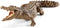 schleich WILD LIFE - Krokodil - Speelfiguur - Kinderspeelgoed voor Jongens en Meisjes - 3 tot 8 jaar - 14736