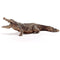 schleich WILD LIFE - Krokodil - Speelfiguur - Kinderspeelgoed voor Jongens en Meisjes - 3 tot 8 jaar - 14736