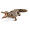 schleich WILD LIFE - Krokodil - Speelfiguur - Kinderspeelgoed voor Jongens en Meisjes - 3 tot 8 jaar - 14736
