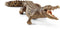 schleich WILD LIFE - Krokodil - Speelfiguur - Kinderspeelgoed voor Jongens en Meisjes - 3 tot 8 jaar - 14736