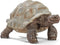 schleich WILD LIFE - Reuzenschildpad - Speelfiguur - Schildpad speelgoed - 14824