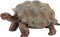 schleich WILD LIFE - Reuzenschildpad - Speelfiguur - Schildpad speelgoed - 14824
