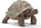 schleich WILD LIFE - Reuzenschildpad - Speelfiguur - Schildpad speelgoed - 14824