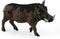 schleich WILD LIFE - Wrattenzwijn - 14843