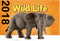 schleich WILD LIFE - Zebraveulen - Speelfiguur - 14811