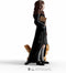 schleich WIZARDING WORLD - Hermelien Griffel en Knikkebeen - Hermione Granger & Crookshanks - Harry Potter - 42635