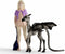 schleich WIZARDING WORLD - Luna Lovegood™ en Terzieler - Luna Lovegood™ & Baby Thestral - Harry Potter - 42636