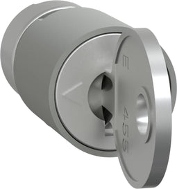 Schneider Electric LVS07941 Cilinderslot 1 stuk(s)