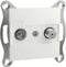 Schneider Electric TV-satelliet eindcontactdoos Asfora Wit (RAL 9003) EPH3470121D