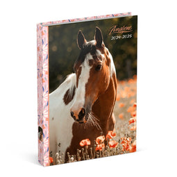 Schoolagenda 2024-2025 Amazone Roze 125 x 175 mm.