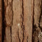 Schorsmat 120x200cm