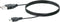 Schwaiger DAR100 513 Bluetooth muziekzender/ontvanger Bluetooth versie: 4.1 10 m Geïntegreerde accu