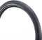 Schwalbe Buitenband - Big Apple R-Guard - 20 inch x 2.00 - Zwart
