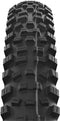 SCHWALBE Hans Dampf Performance Vouwband TLR E-25 Addix 24x2.35