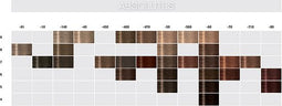 Schwarzkopf Igora Absolutes 60 ml 9-40