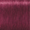 Schwarzkopf Igora Royal 0-89 60ml