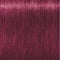 Schwarzkopf Igora Royal 9-98 - 60 ml
