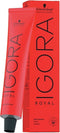 Schwarzkopf Professional Igora Royal 6-00 - 60 ml