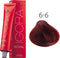 Schwarzkopf Professional Igora Royal 6-6 - 60 ml